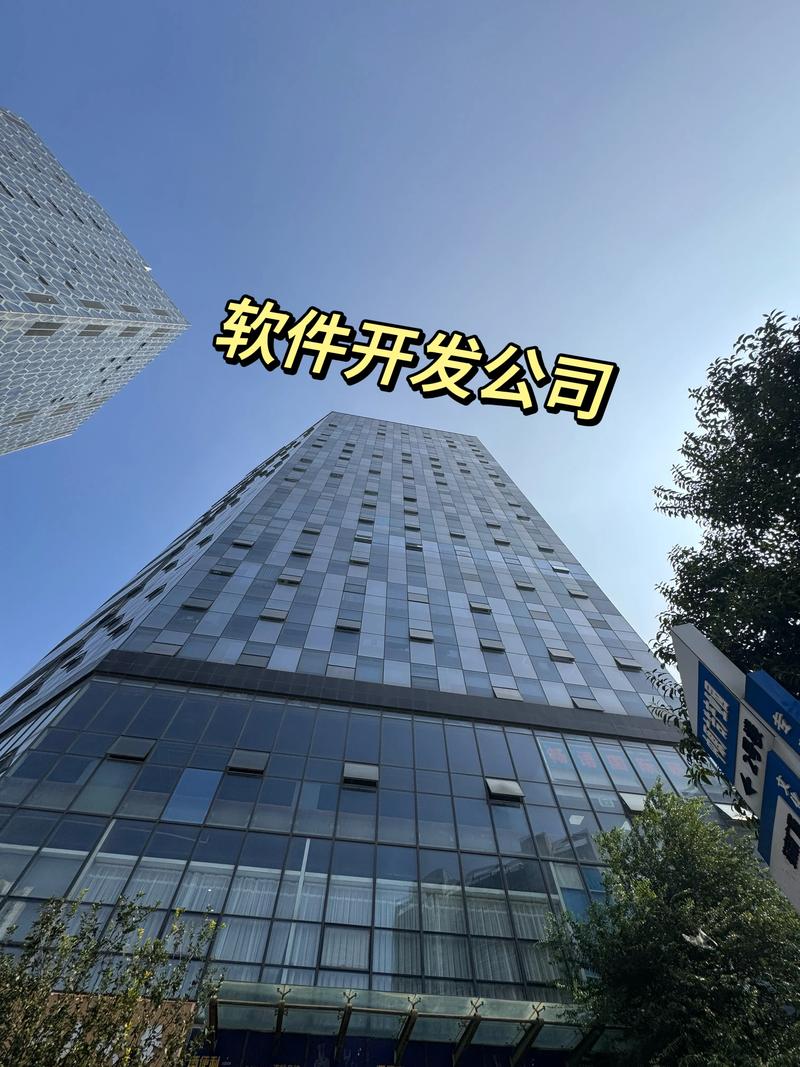 软件开发公司的行业动态：趋势与前景